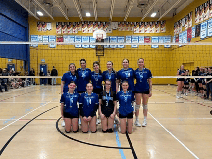 Finalevolleyball